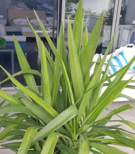 George 1 Lägenhet *